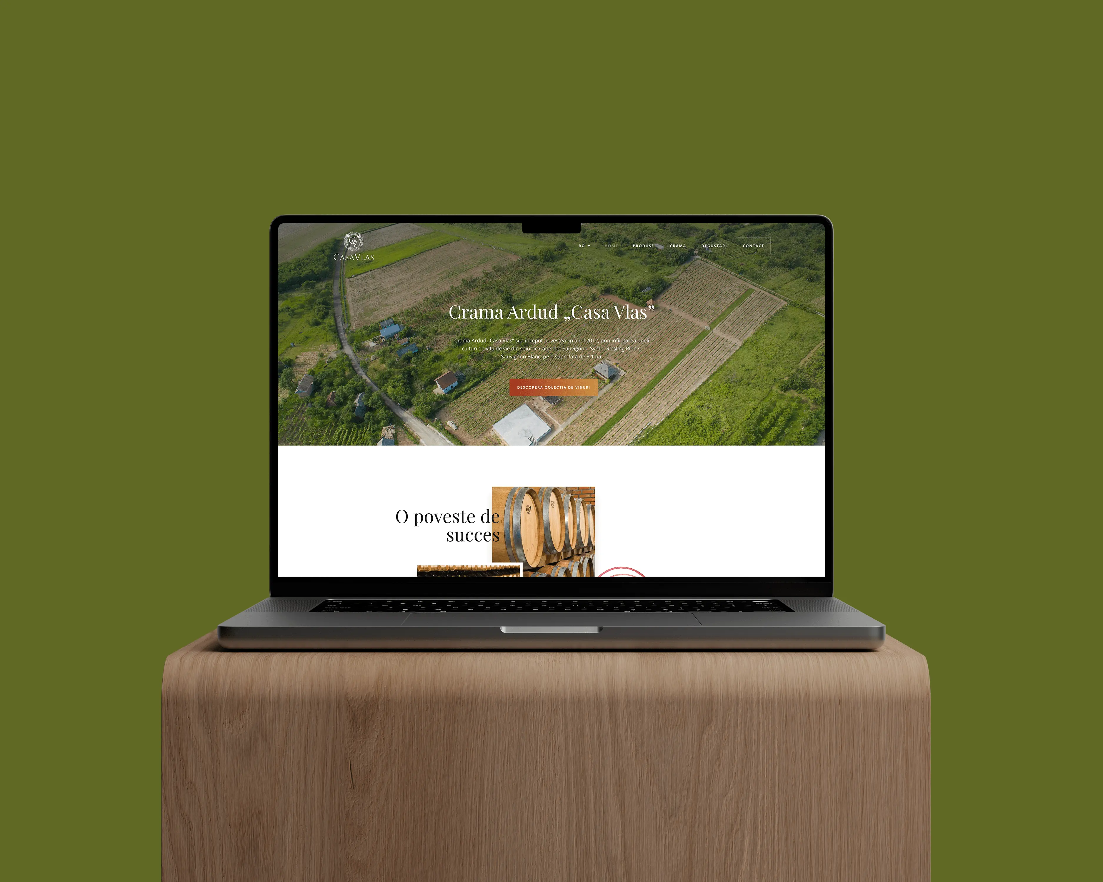 Casa Vlas secondary mockup